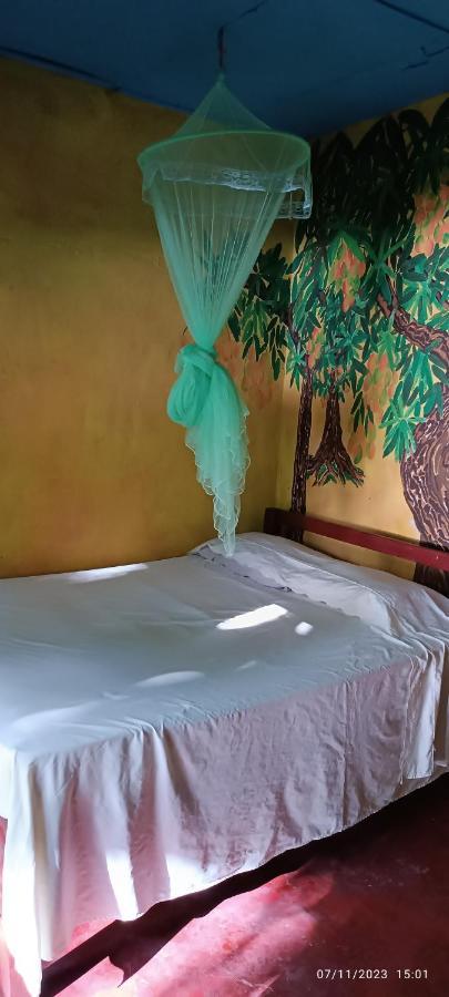 Hostel La Gloria Ometepe Exteriör bild